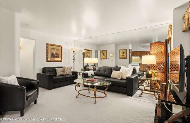835 E Hyman Avenue unit: C - 835 East Hyman Avenue, Aspen, CO 81611