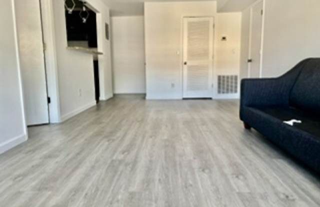 392 College Dr Gallery 4