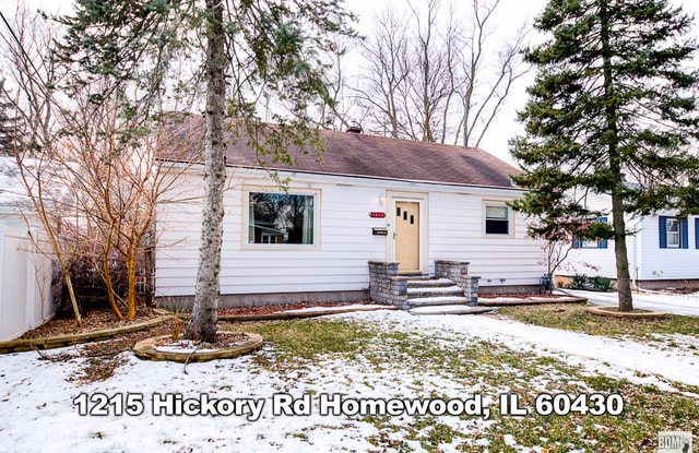 1215 Hickory Road - 1215 Hickory Road, Homewood, IL 60430