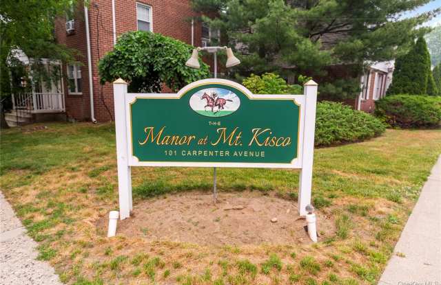 101 Carpenter Avenue unit: C 100 - 101 Carpenter Avenue, Mount Kisco, NY 10549