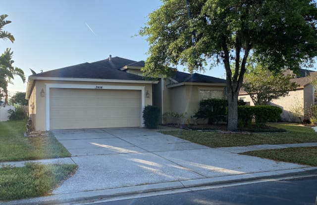 31414 Wrencrest Dr - 31414 Wrencrest Drive, Wesley Chapel, FL 33543