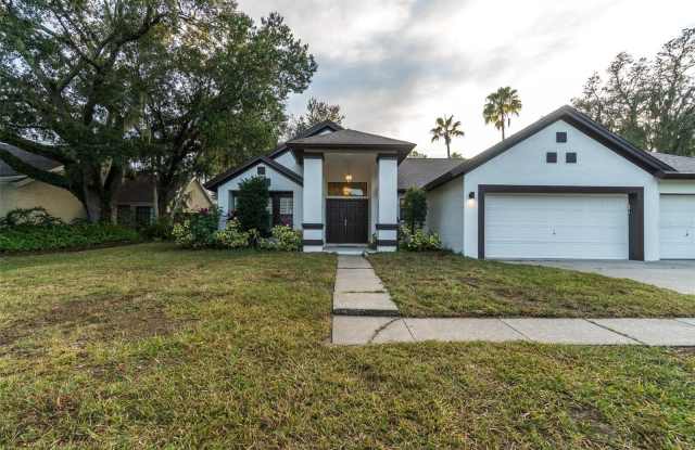 6301 CHAUNCY STREET - 6301 Chauncy Street, Tampa, FL 33647