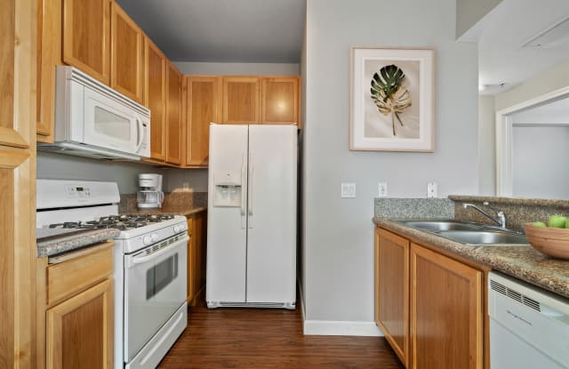Theatre Square Apartments photos photos