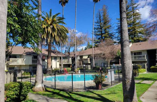 Spacious and Updated 1 Bedroom Conveniently Located - 2560 Walnut Boulevard, Walnut Creek, CA 94596