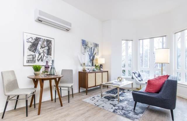 11 Marche photos photos