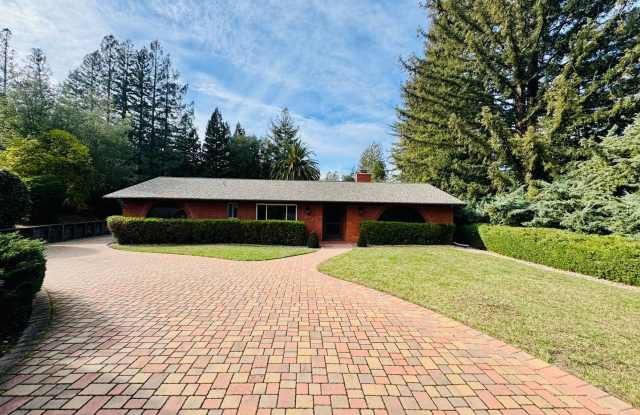 Spacious Single Level Home with Swimming Pool in Alamo Available Now! photos photos Spacious Single Level Home with Swimming Pool in Alamo Available Now! photos photos