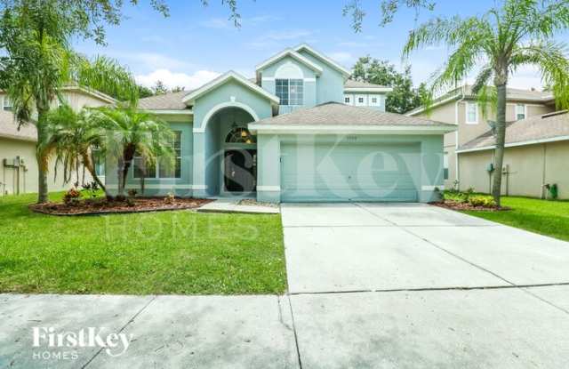 19119 Cypress Reach Lane - 19119 Cypress Reach Lane, Tampa, FL 33647