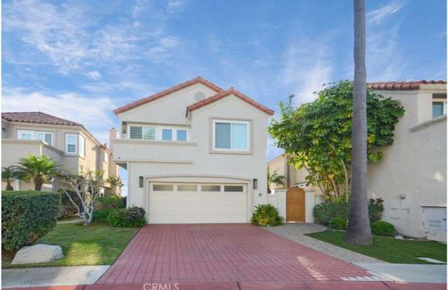 37 Saint Kitts photos photos