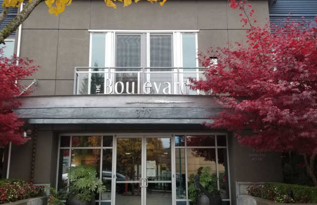 Contemporary 1 bedroom in downtown Kirkland photos photos