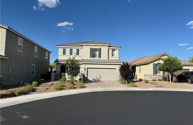 2620 Tolmezzo Street - 2620 Tolmezzo Street, Henderson, NV 89044
