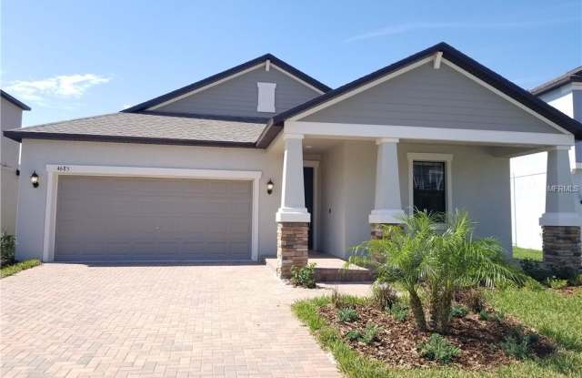 4685 COACHFORD DRIVE - 4685 Coachford Drive, Wesley Chapel, FL 33543