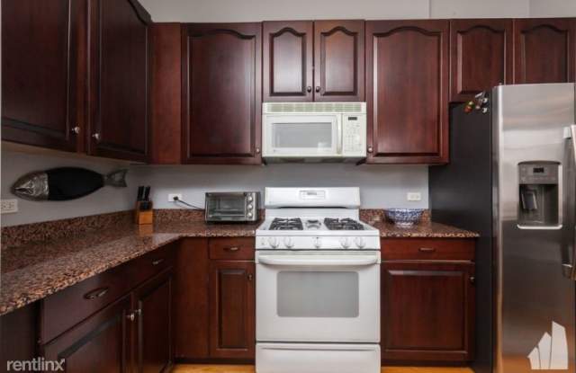 801 N Elizabeth St 2s - 801 N Elizabeth St, Chicago, IL 60642