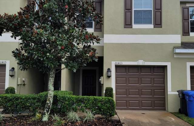 Home is in the Heart of New Tampa photos photos