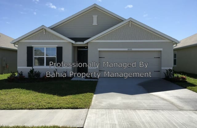30575 Summer Sun Loop - 30575 Summer Sun Loop, Pasadena Hills, FL 33545