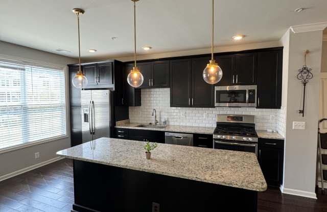 43047 Stuarts Glen Terrace - 43047 Stuarts Glen Terrace, Loudoun Valley Estates, VA 20148