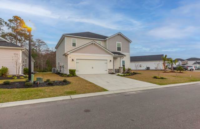 Picture-Perfect New Home in Clear Pond photos photos