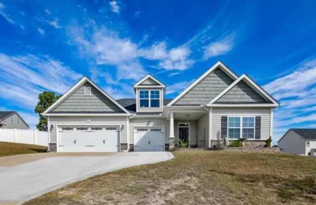 251 Samuel Nicholas Drive photos photos
