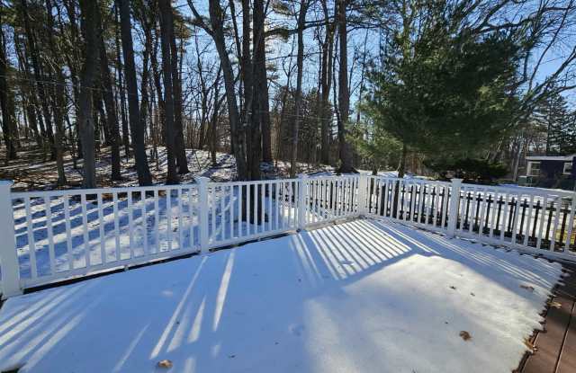 32 Norwood Street photos photos