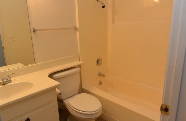 Nice 3 Bed/2 Bath w/POOL + Pool Care & Yard Care Included Located in SW Neighborhood near Schools, Shopping & Parks!  1 year lease Gallery 4