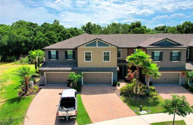 28522 TRANQUIL LAKE CIRCLE photos photos