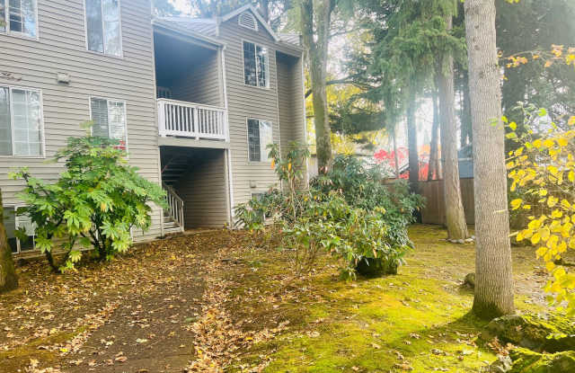 First Full Month's Rent Free! Bright and Airy One Bedroom Condo - Water, Sewer  Trash Covered! photos photos