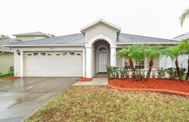 16822 TAYLOW WAY - 16822 Taylow Way, Odessa, FL 33556