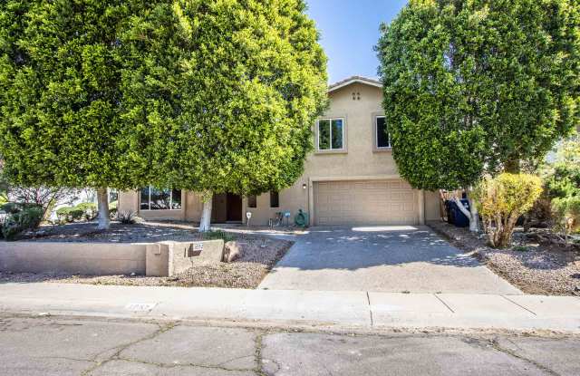 1052 E Sandpiper Dr photos photos