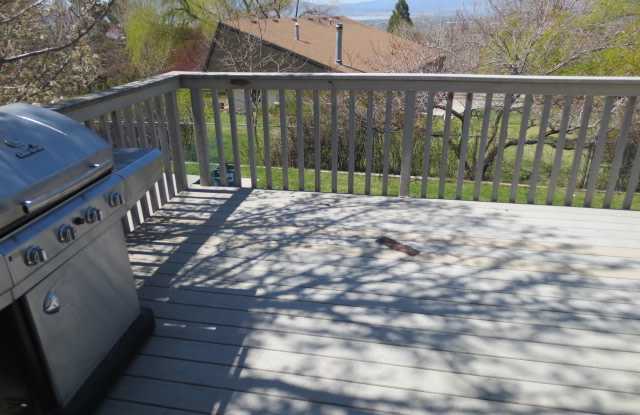 339 N 1350 E Gallery 4