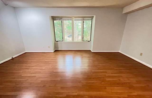 Stylish, Updated 4br in Mill Creek includes parking permits...Walk to Campus! Gallery 4