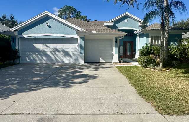 480 Bridle Path Way - 480 Bridle Path Way, East Lake, FL 34688 480 Bridle Path Way - 480 Bridle Path Way, East Lake, FL 34688