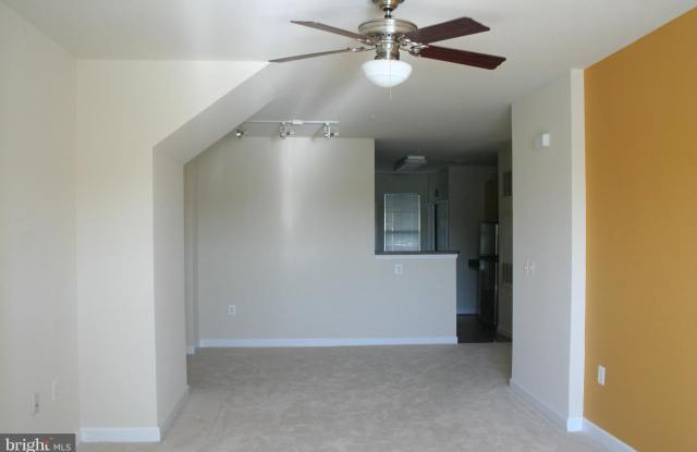 42381 GOLDENSEAL SQUARE Gallery 4