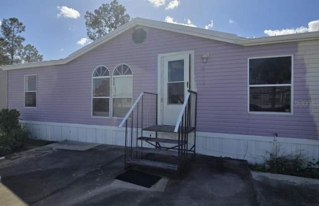 617 W LEMON STREET - 617 Lemon Street West, Davenport, FL 33837