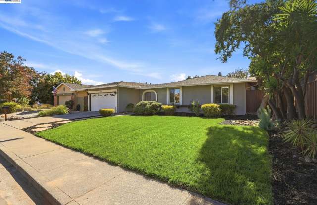 25 Tareyton Ct Gallery 4