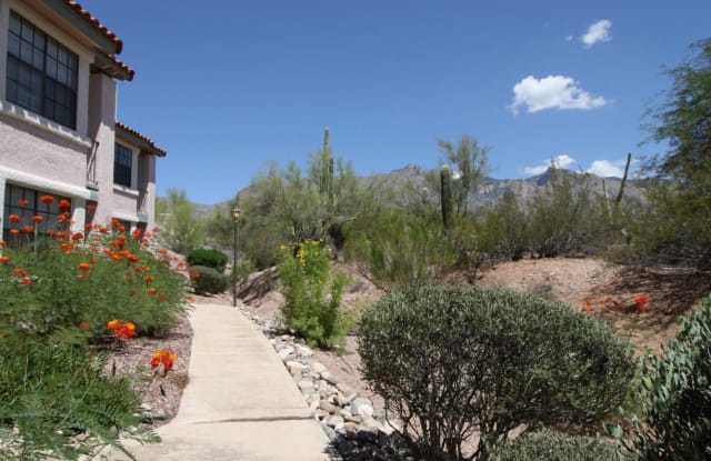 3230 E Calle De La Punta - 3230 East Calle De La Punta, Catalina Foothills, AZ 85718