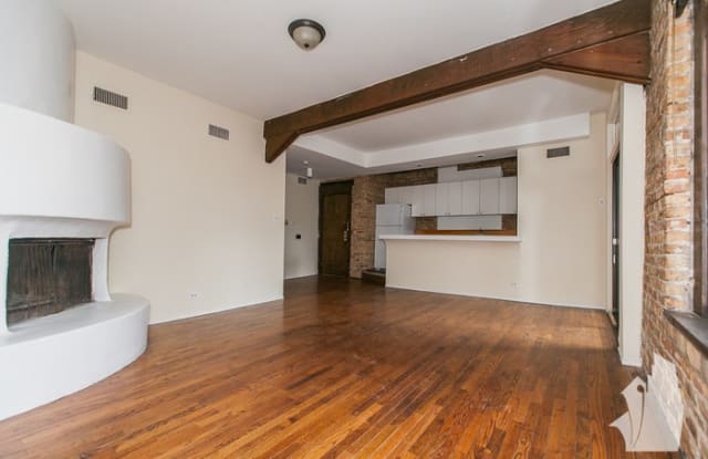 556 West Wellington Avenue - 556 W Wellington Ave, Chicago, IL 60657