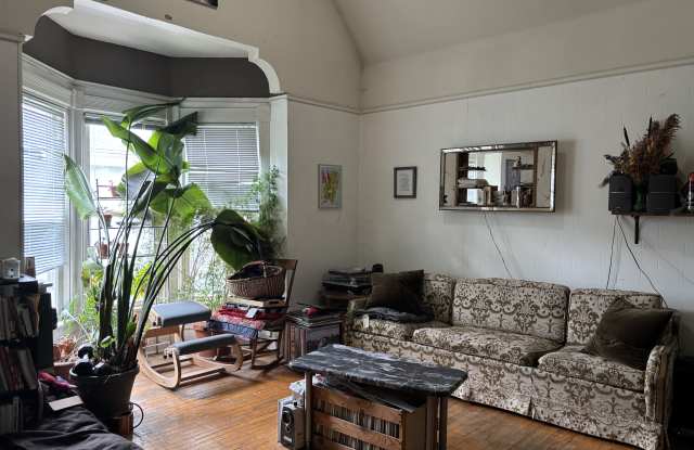 939 Jenifer St Gallery 2