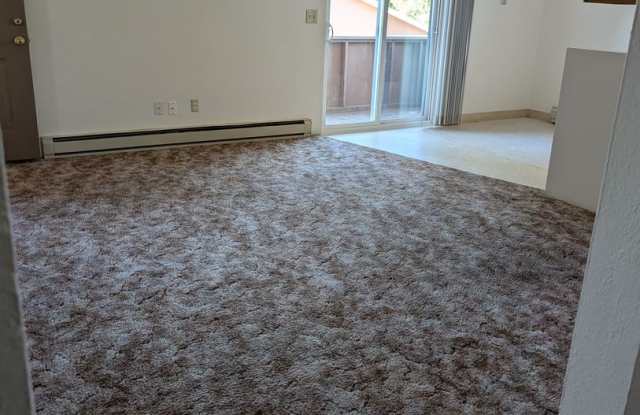One Bedroom, One Bathroom Apartment - Located in the South Suburbs! photos photos