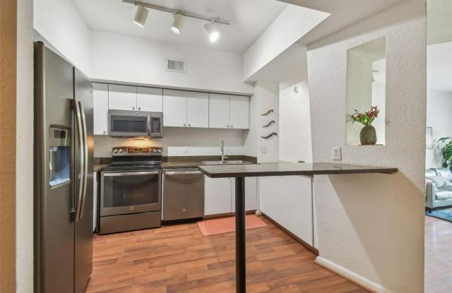 2440 W HORATIO STREET Gallery 3