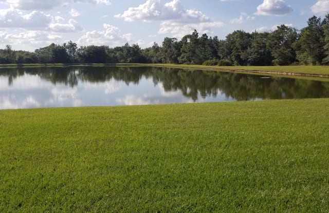 20751 Great Laurel Avenue - 20751 Great Laurel Avenue, Pebble Creek, FL 33647