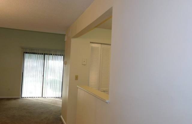 8372 Pineverde Lane Gallery 3