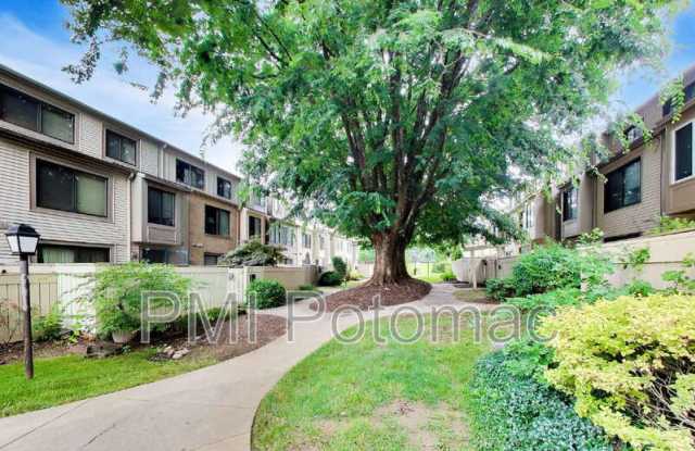 9391 Chadburn Pl Gallery 4