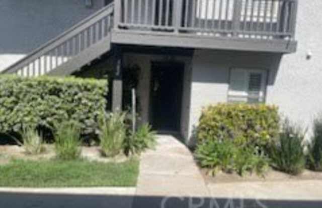 382 Orange Blossom photos photos