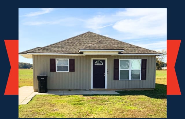 465 Dana Ave - 465 Dana Street, Dyersburg, TN 38024