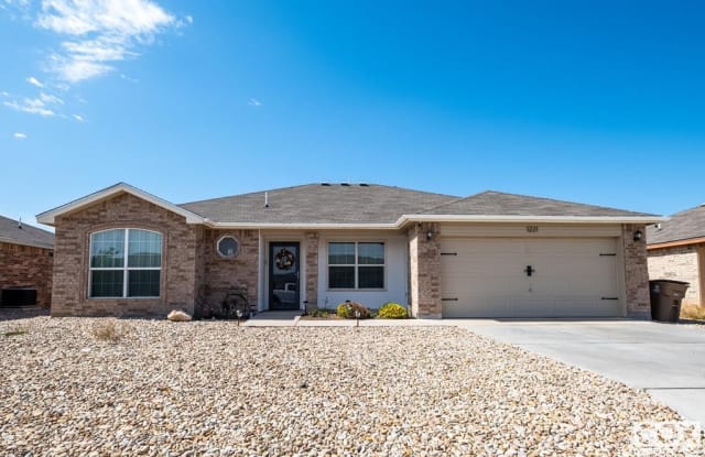 1221 Elmo Lane - 1221 Elmo Lane, San Angelo, TX 76905