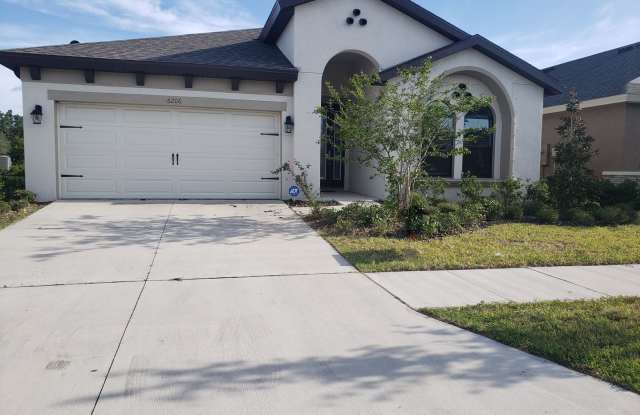 Beautiful 4/2 Home with No Rear Neighbors and Lots of Community Amenities - 6206 Colmar Place, Apollo Beach, FL 33572