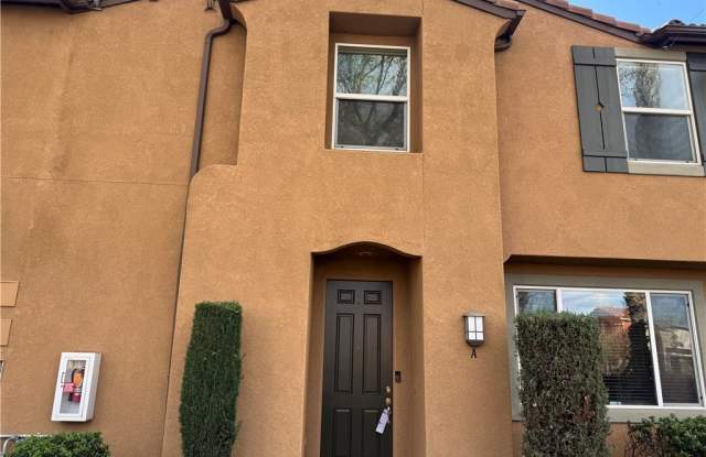 27931 Cactus photos photos