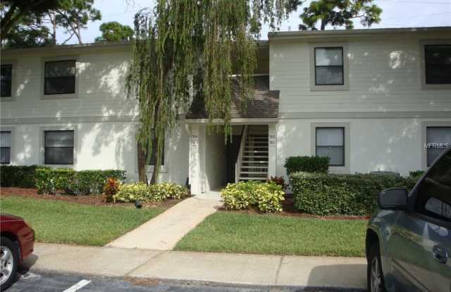 302 MEADOW LANE - 302 Meadow Lane, East Lake, FL 34677