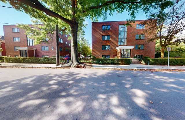 Chester Street Apartments Gallery 4