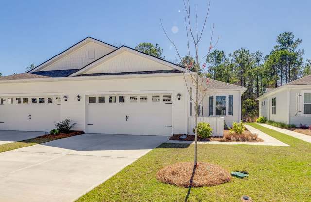 Move-In Ready 3-Bedroom Villa in Gated Savannah Quarters! photos photos