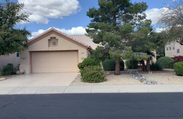 14218 W VIA MANANA -- - 14218 West via Mañana, Sun City West, AZ 85375